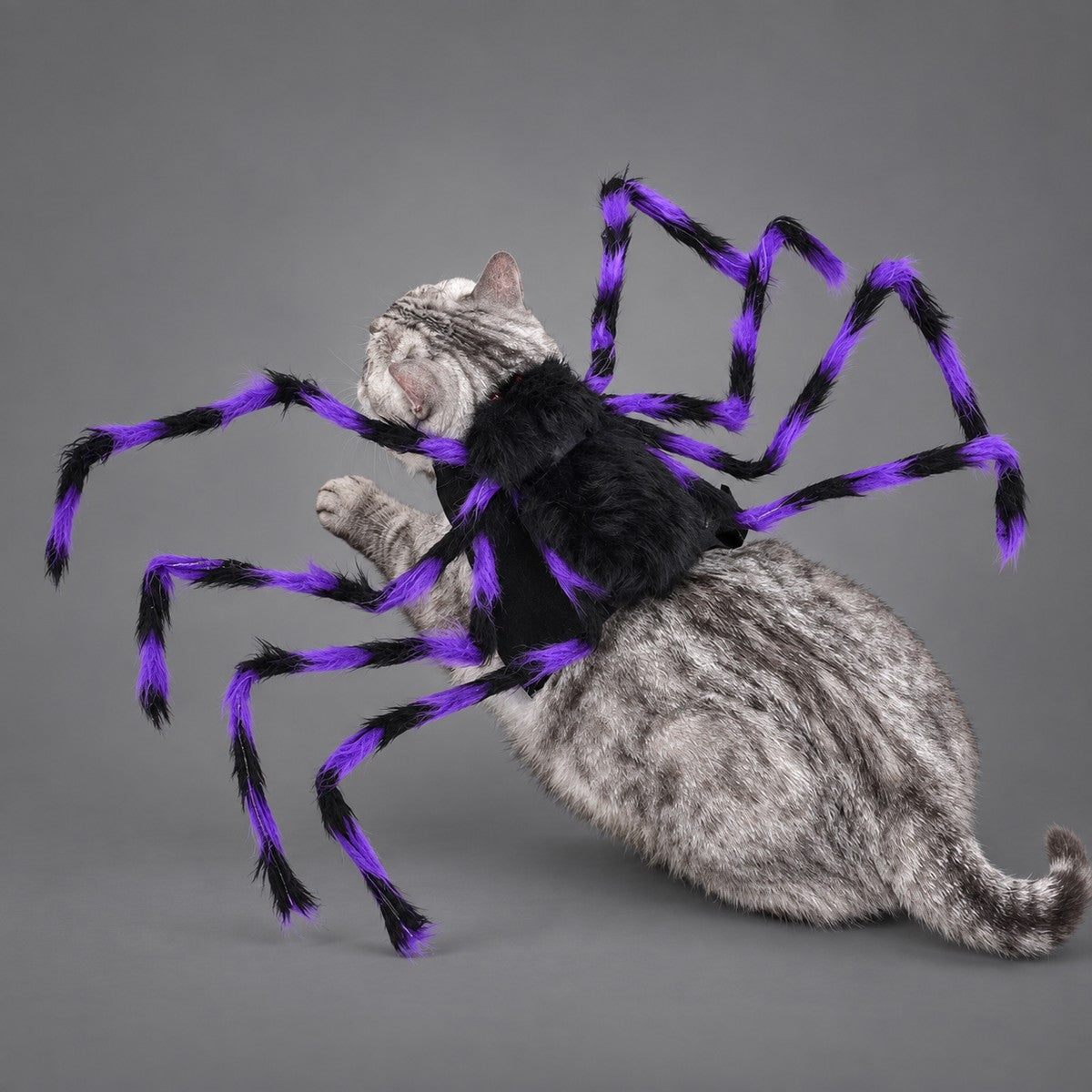 Disfraz de araña para mascotas