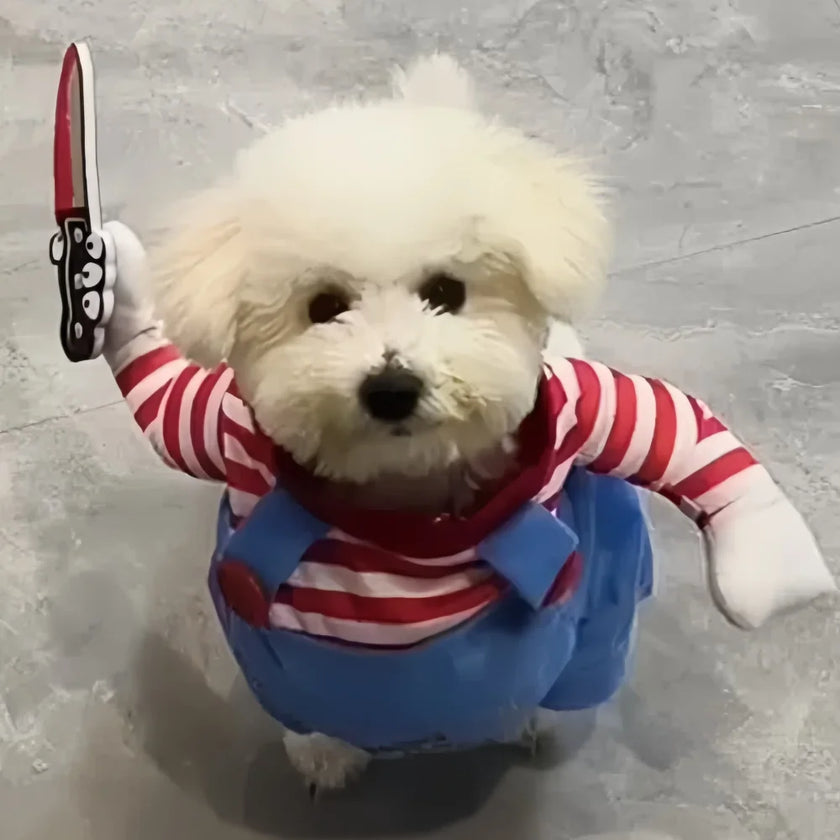 Disfraz de muñeco de terror para perros