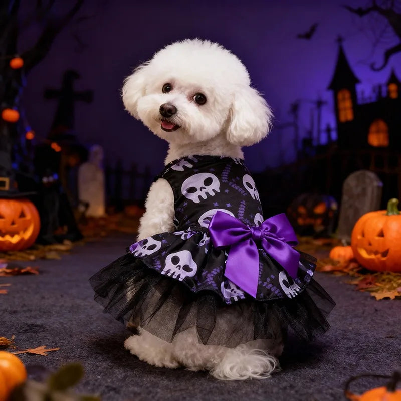 Capa de bruja para perros y gatos